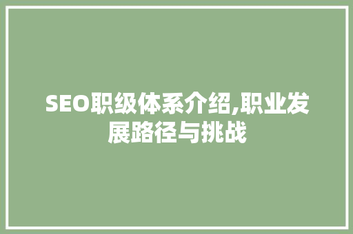 SEO职级体系介绍,职业发展路径与挑战