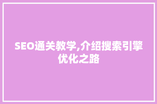 SEO通关教学,介绍搜索引擎优化之路