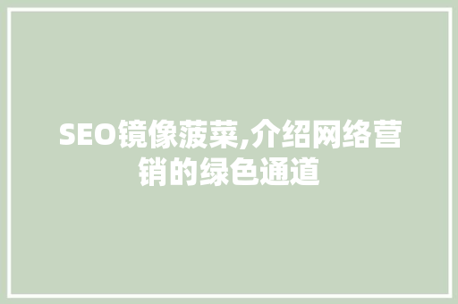 SEO镜像菠菜,介绍网络营销的绿色通道