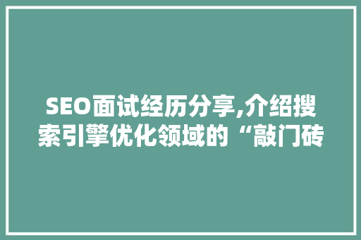 SEO面试经历分享,介绍搜索引擎优化领域的“敲门砖”