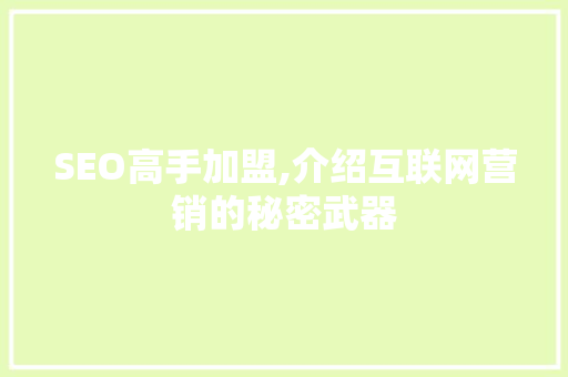 SEO高手加盟,介绍互联网营销的秘密武器