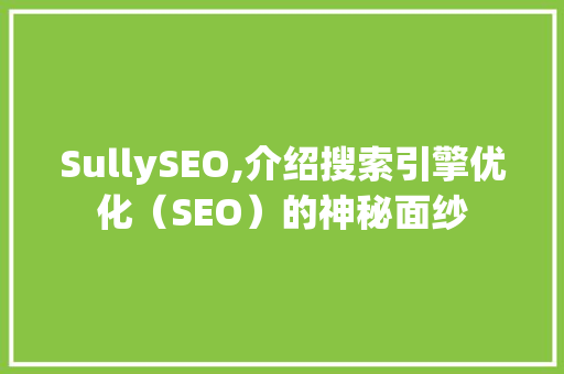 SullySEO,介绍搜索引擎优化（SEO）的神秘面纱