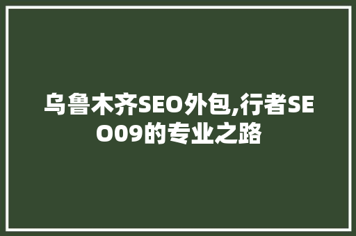 乌鲁木齐SEO外包,行者SEO09的专业之路