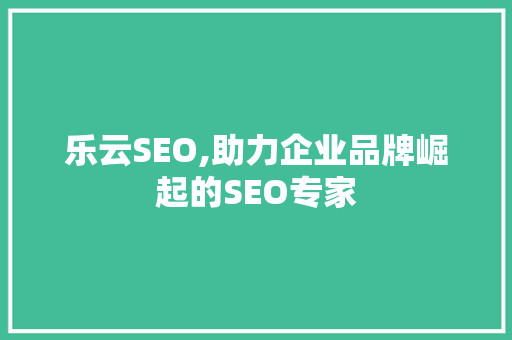 乐云SEO,助力企业品牌崛起的SEO专家