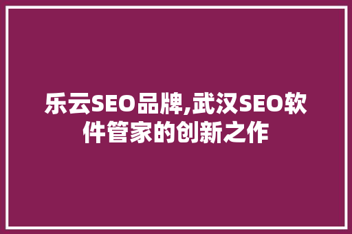 乐云SEO品牌,武汉SEO软件管家的创新之作