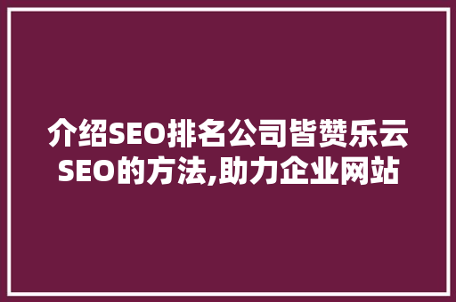 介绍SEO排名公司皆赞乐云SEO的方法,助力企业网站高效优化