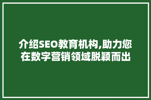 介绍SEO教育机构,助力您在数字营销领域脱颖而出