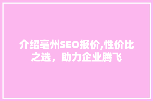 介绍亳州SEO报价,性价比之选，助力企业腾飞