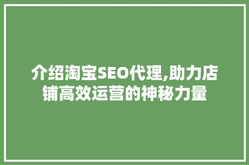 介绍淘宝SEO代理,助力店铺高效运营的神秘力量