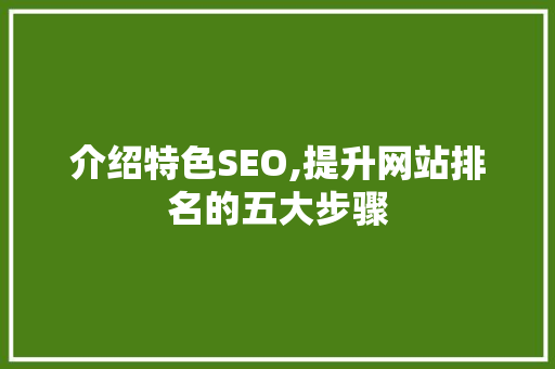 介绍特色SEO,提升网站排名的五大步骤  第1张