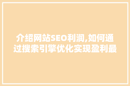 介绍网站SEO利润,如何通过搜索引擎优化实现盈利最大化