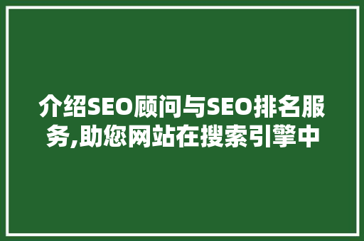 介绍SEO顾问与SEO排名服务,助您网站在搜索引擎中脱颖而出