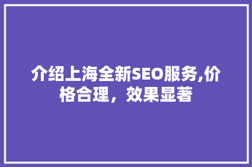 介绍上海全新SEO服务,价格合理，效果显著