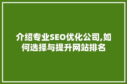 介绍专业SEO优化公司,如何选择与提升网站排名