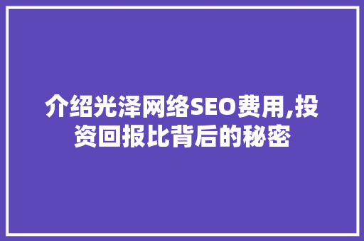介绍光泽网络SEO费用,投资回报比背后的秘密