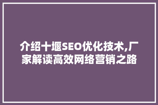 介绍十堰SEO优化技术,厂家解读高效网络营销之路