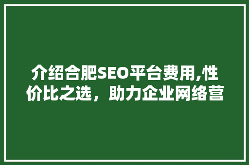 介绍合肥SEO平台费用,性价比之选，助力企业网络营销