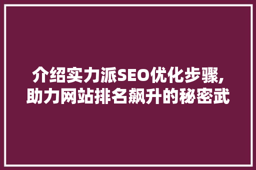介绍实力派SEO优化步骤,助力网站排名飙升的秘密武器