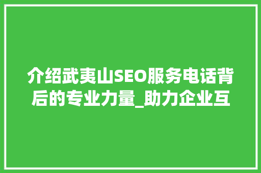 介绍武夷山SEO服务电话背后的专业力量_助力企业互联网营销新篇章