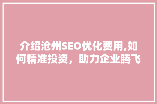 介绍沧州SEO优化费用,如何精准投资，助力企业腾飞