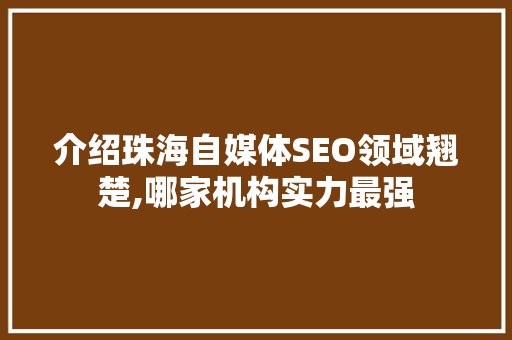 介绍珠海自媒体SEO领域翘楚,哪家机构实力最强