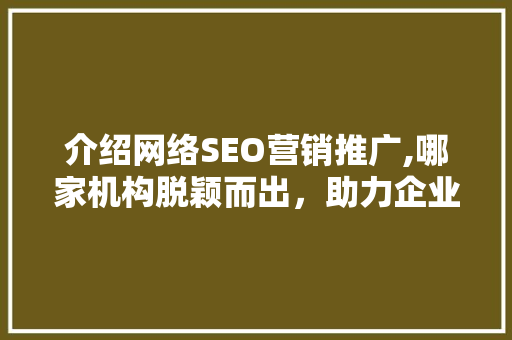 介绍网络SEO营销推广,哪家机构脱颖而出，助力企业腾飞