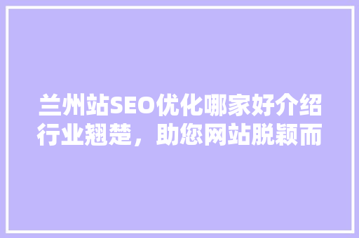 兰州站SEO优化哪家好介绍行业翘楚，助您网站脱颖而出  第1张