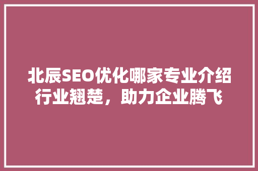 北辰SEO优化哪家专业介绍行业翘楚，助力企业腾飞