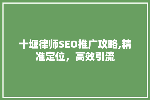 十堰律师SEO推广攻略,精准定位，高效引流