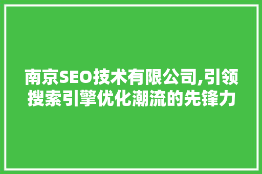 南京SEO技术有限公司,引领搜索引擎优化潮流的先锋力量