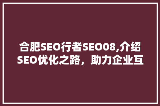 合肥SEO行者SEO08,介绍SEO优化之路，助力企业互联网营销