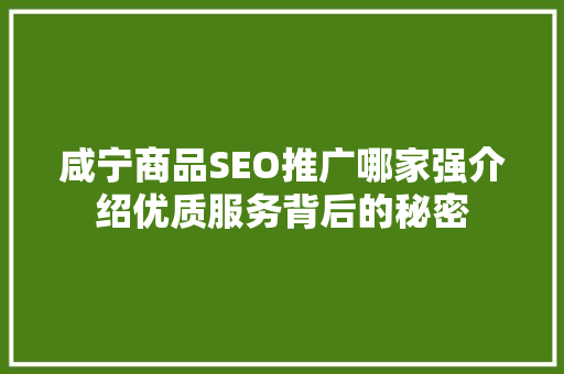咸宁商品SEO推广哪家强介绍优质服务背后的秘密