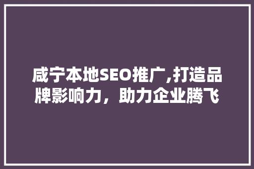 咸宁本地SEO推广,打造品牌影响力，助力企业腾飞