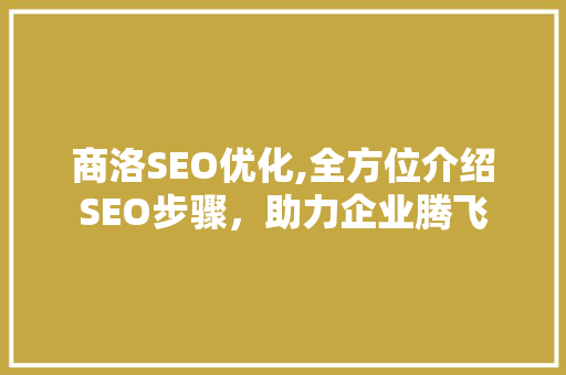 商洛SEO优化,全方位介绍SEO步骤，助力企业腾飞