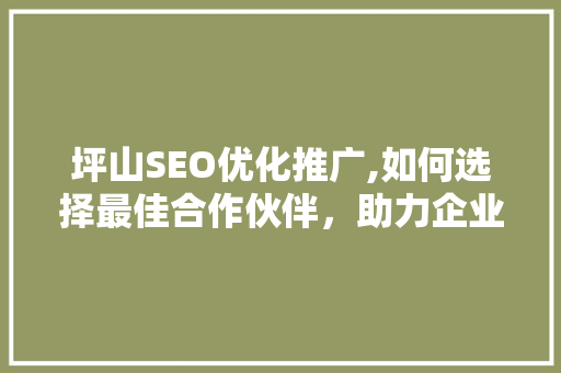 坪山SEO优化推广,如何选择最佳合作伙伴，助力企业腾飞  第1张