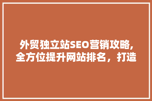外贸独立站SEO营销攻略,全方位提升网站排名，打造品牌影响力