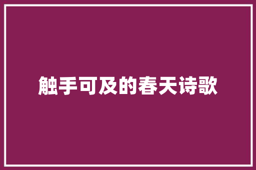 大连SEO行者SEO06,介绍搜索引擎优化步骤，助力企业提升在线竞争力