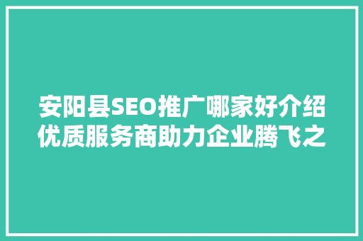 安阳县SEO推广哪家好介绍优质服务商助力企业腾飞之路