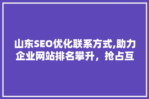 山东SEO优化联系方式,助力企业网站排名攀升，抢占互联网市场先机