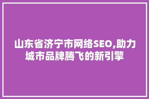 山东省济宁市网络SEO,助力城市品牌腾飞的新引擎  第1张