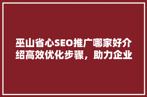 巫山省心SEO推广哪家好介绍高效优化步骤，助力企业腾飞