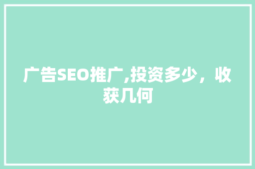 广告SEO推广,投资多少，收获几何
