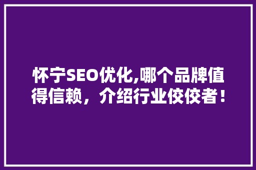 怀宁SEO优化,哪个品牌值得信赖，介绍行业佼佼者！