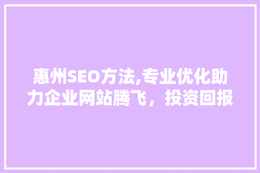 惠州SEO方法,专业优化助力企业网站腾飞，投资回报比分析