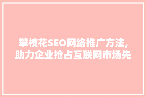 攀枝花SEO网络推广方法,助力企业抢占互联网市场先机