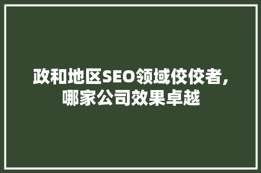 政和地区SEO领域佼佼者,哪家公司效果卓越