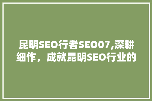 昆明SEO行者SEO07,深耕细作，成就昆明SEO行业的璀璨明珠