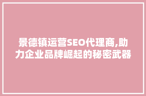 景德镇运营SEO代理商,助力企业品牌崛起的秘密武器