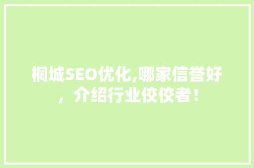 桐城SEO优化,哪家信誉好，介绍行业佼佼者！