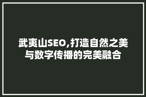 武夷山SEO,打造自然之美与数字传播的完美融合